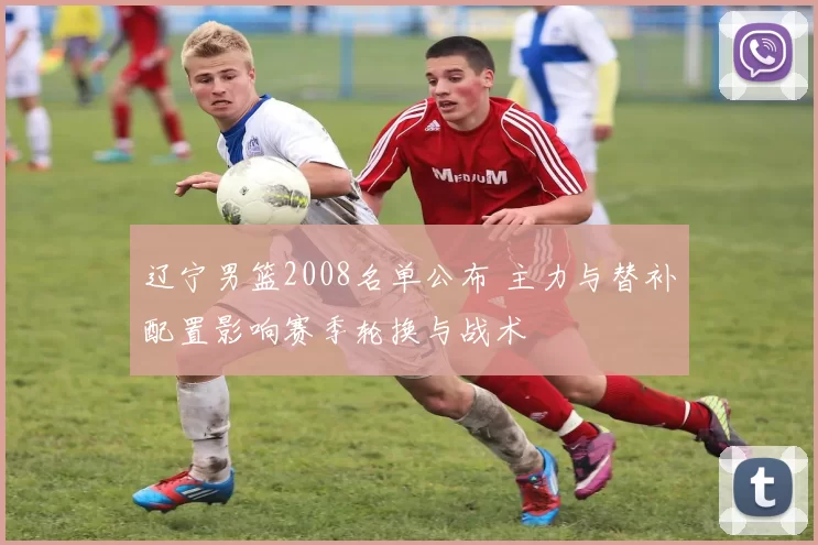 辽宁男篮2008名单公布 主力与替补配置影响赛季轮换与战术